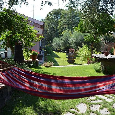 Le Case Di Bacco Santa Venerina Quarto foto