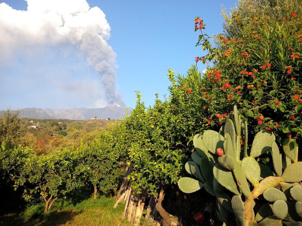 Le Case Di Bacco Santa Venerina Quarto foto